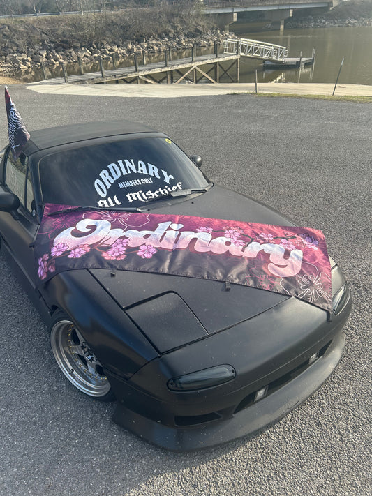 Sakura Nobori